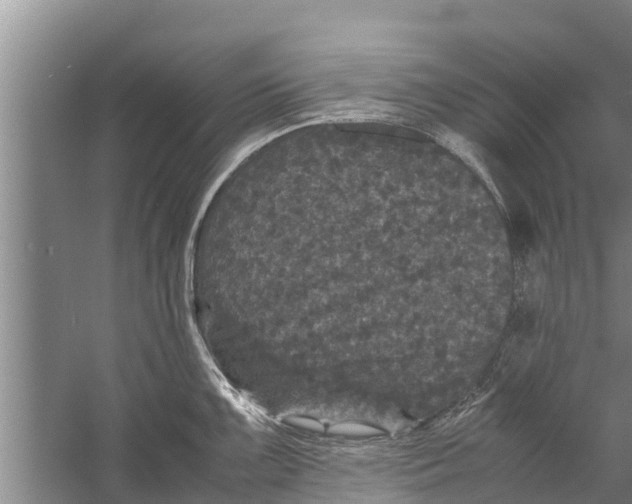 X0000058761099200510281911