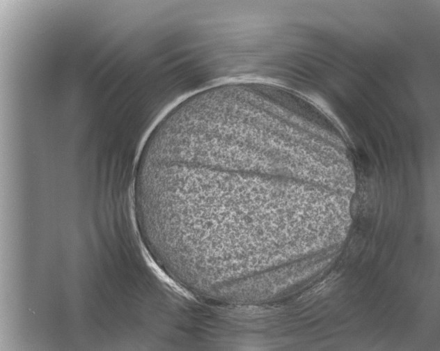 X0000058761100200510281911