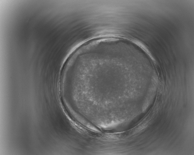 X0000058761101200510281911