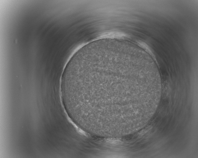 X0000058761103200510281911