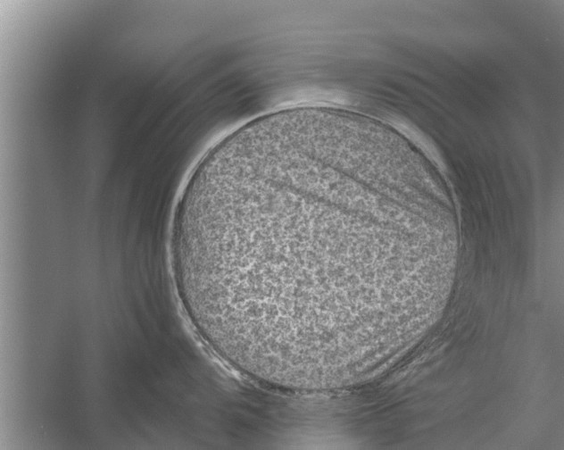 X0000058761104200510281911