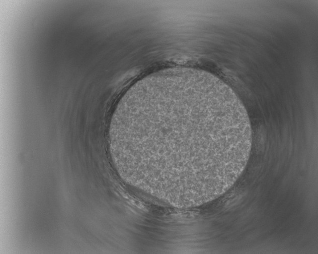 X0000058761105200510281910