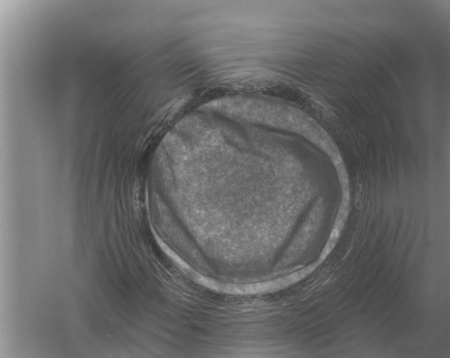 X0000058761108200510281910