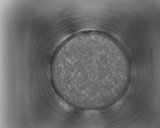 X0000058761113200510281911