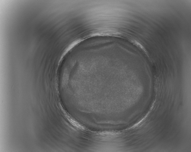 X0000058761114200510281911