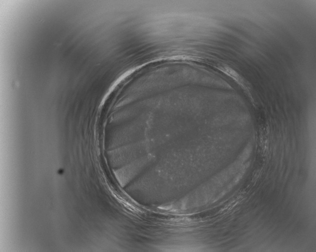 X0000058761120200510281911