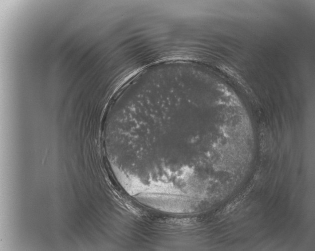 X0000058761121200510281911