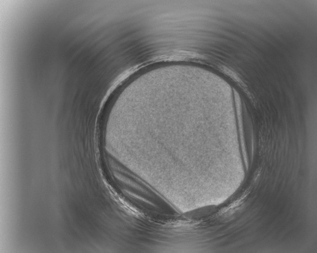 X0000058761122200510281911