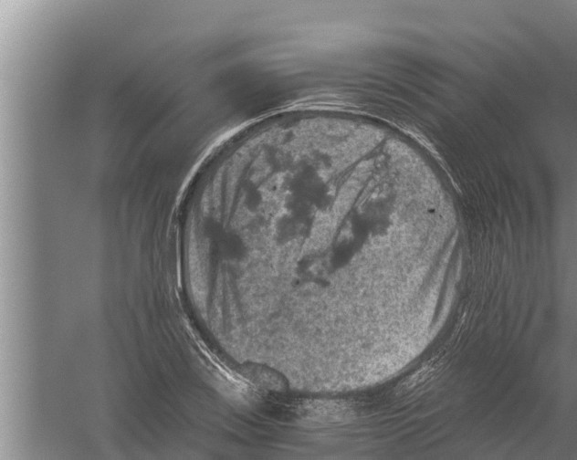 X0000058761123200510281911