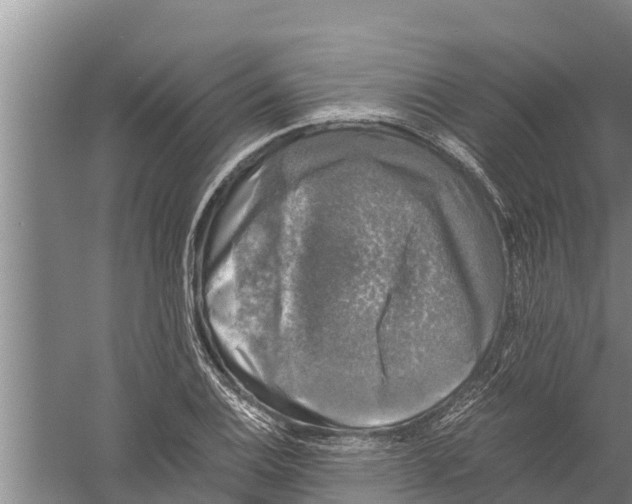 X0000058761124200510281911