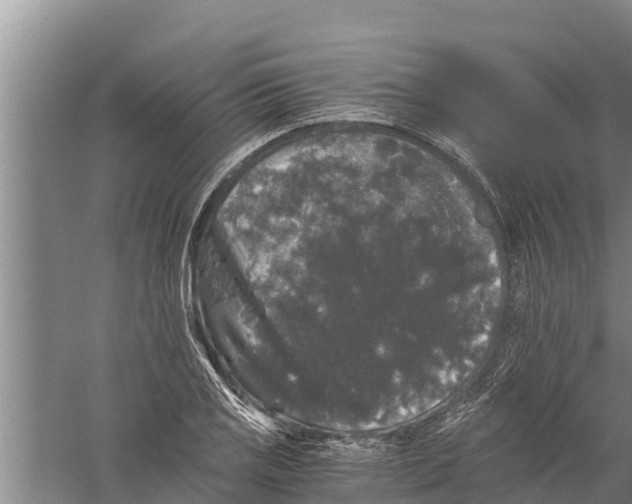 X0000058761125200510281911