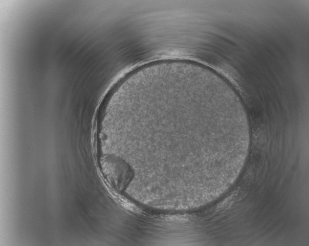 X0000058761126200510281911