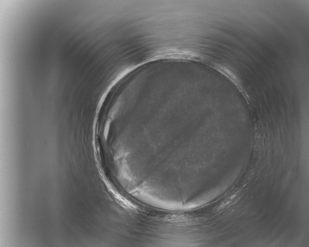 X0000058761128200510281911