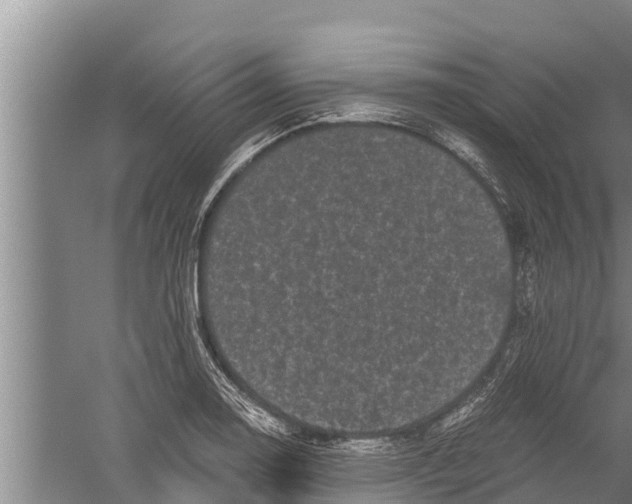 X0000058761130200510281911