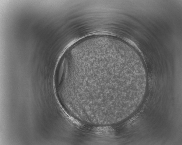 X0000058761133200510281911