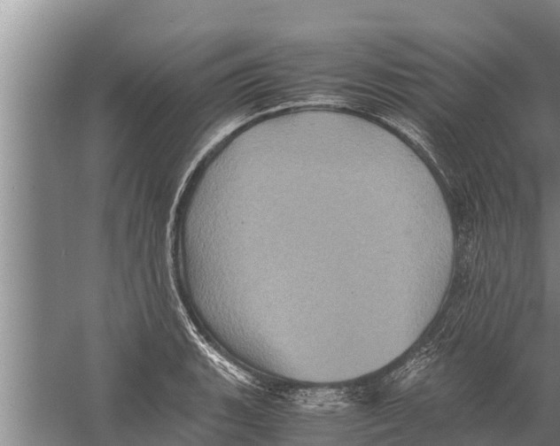 X0000058761135200510281911