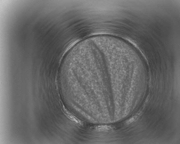 X0000058761137200510281911