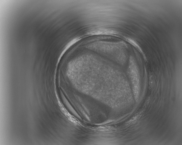 X0000058761138200510281911