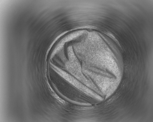 X0000058761140200510281911