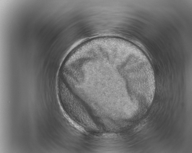 X0000058761142200510281911