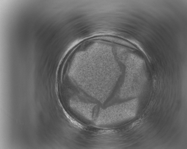 X0000058761143200510281911