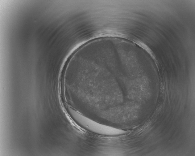 X0000058761144200510281911