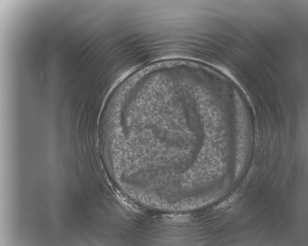 X0000058761145200510281911