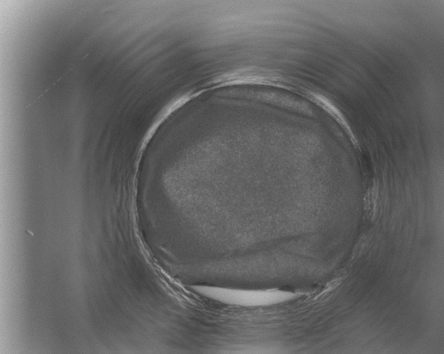 X0000058761146200510281911