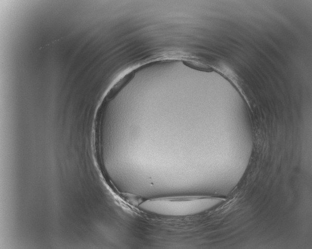 X0000058761147200510281911