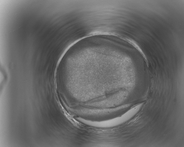 X0000058761148200510281911