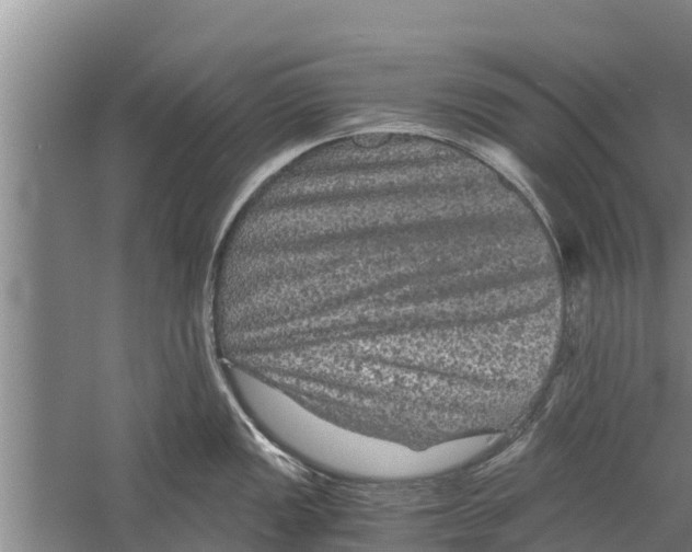 X0000058761149200510281911