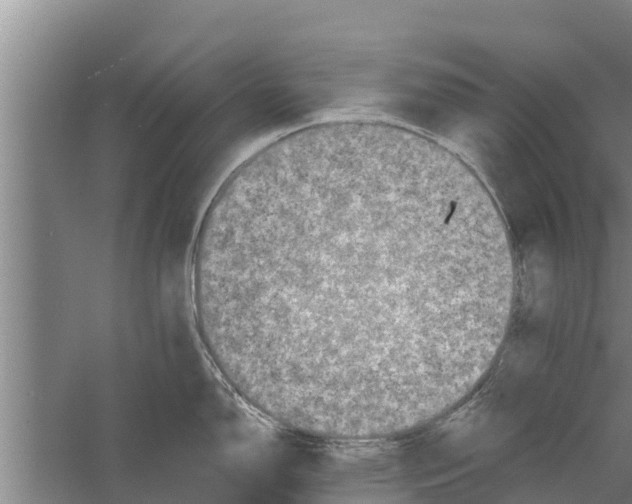 X0000058761150200510281911