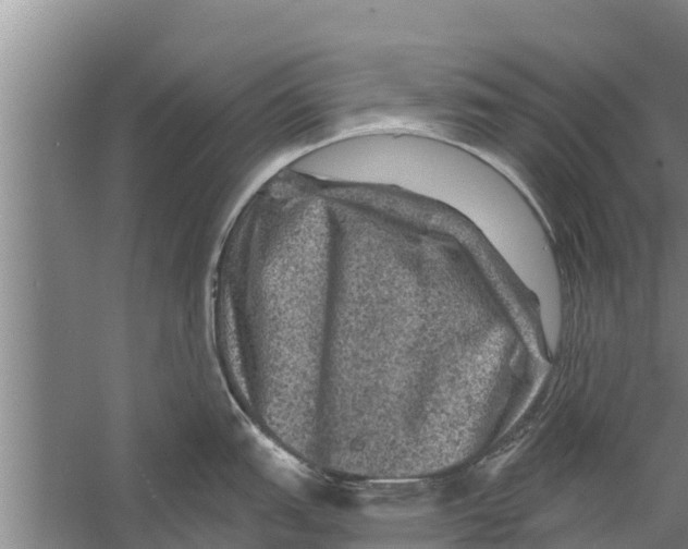 X0000058761151200510281911