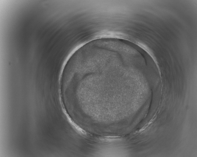 X0000058761152200510281911