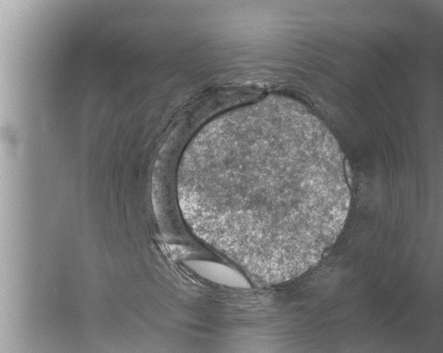 X0000058761153200510281910