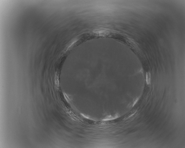 X0000058761155200510281910