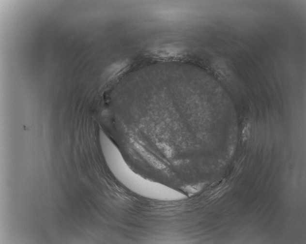 X0000058761156200510281910