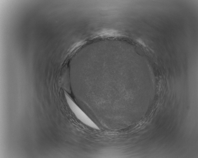 X0000058761157200510281910