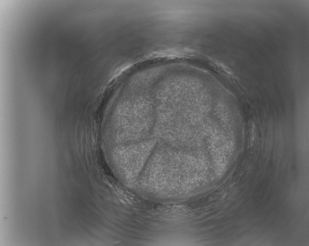 X0000058761158200510281910