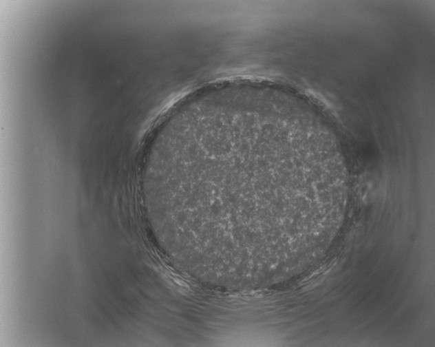 X0000058761159200510281910