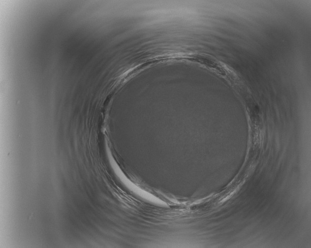 X0000058761161200510281910