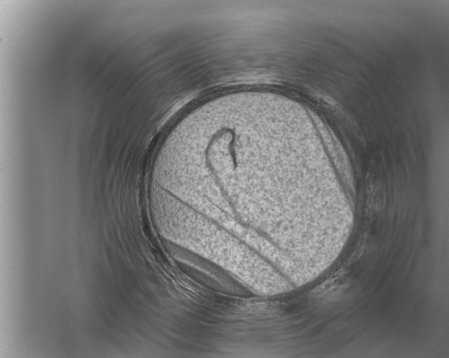 X0000058761162200510281910