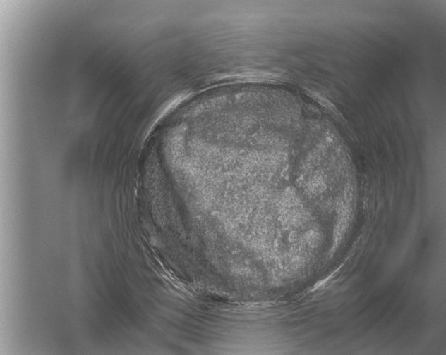 X0000058761163200510281910