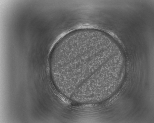 X0000058761167200510281910