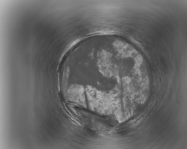 X0000058761171200510281910