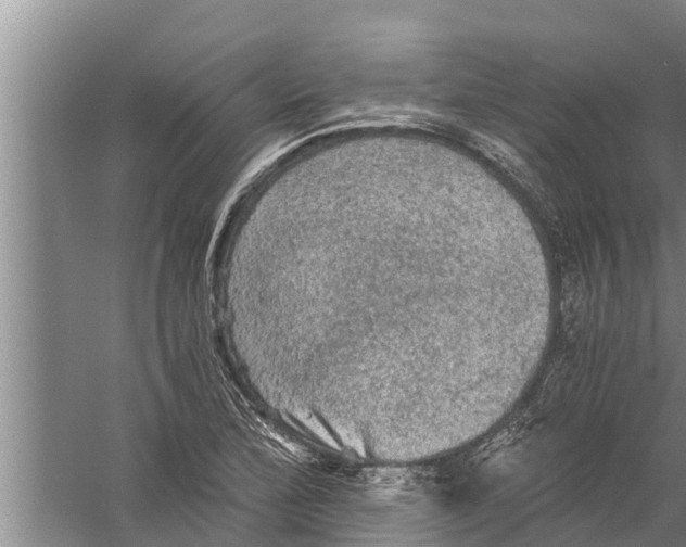 X0000058761172200510281910