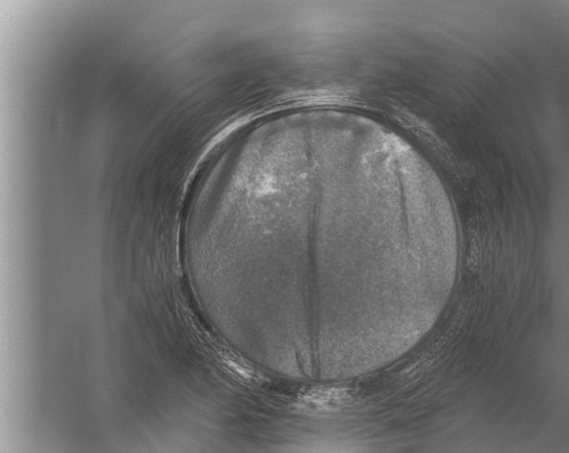 X0000058761174200510281910