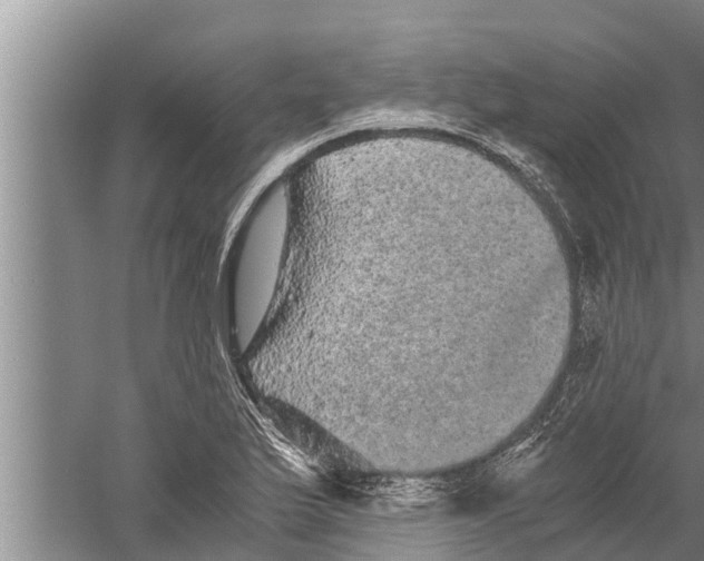 X0000058761175200510281910