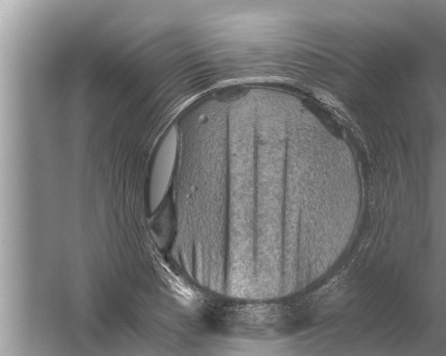 X0000058761177200510281910