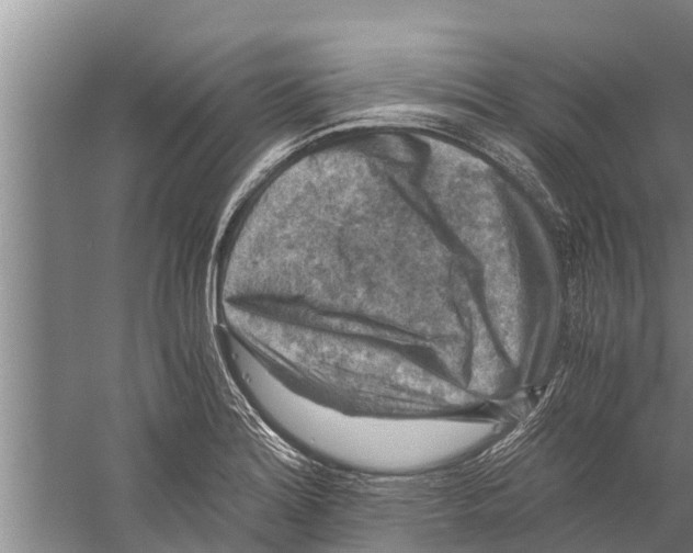 X0000058761180200510281910